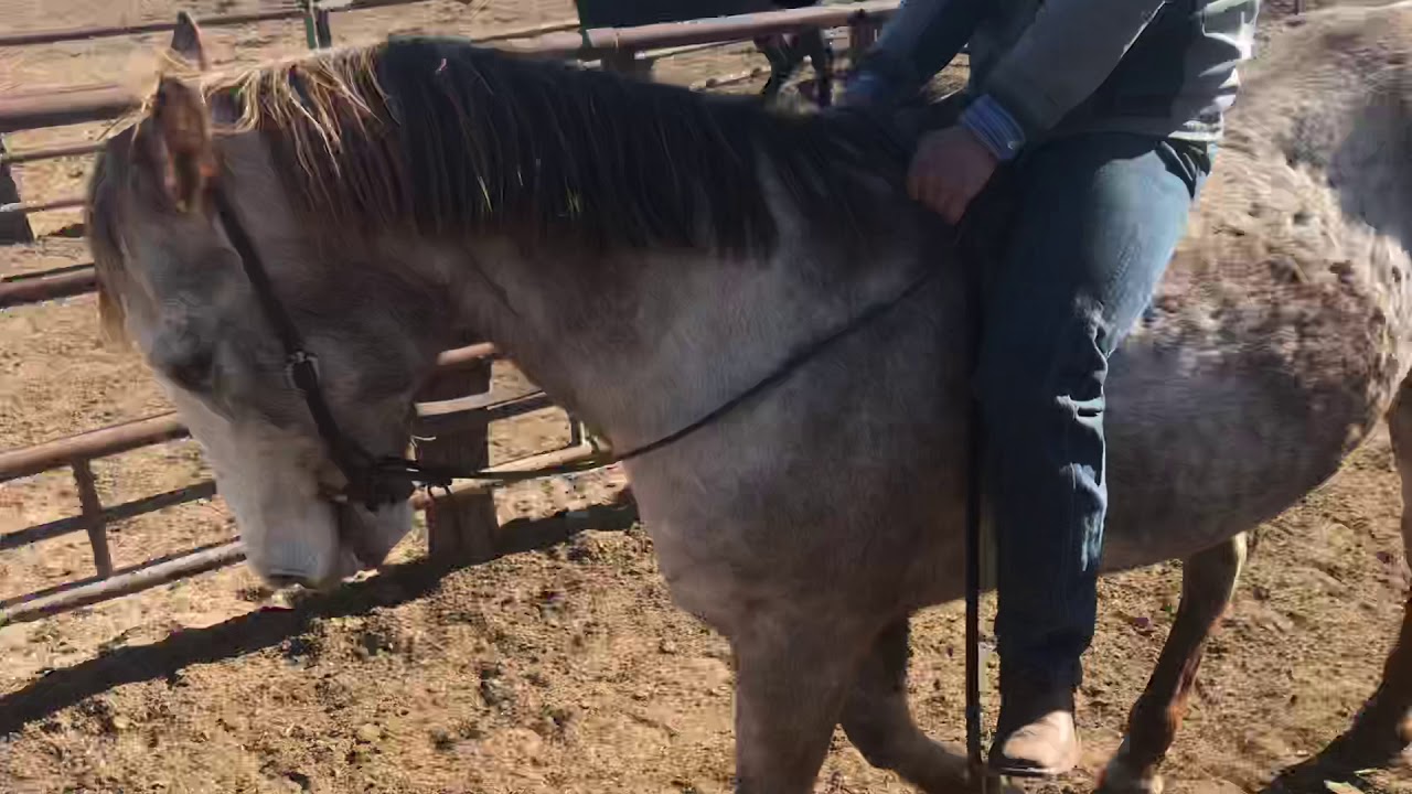 Kansas kill pen YouTube