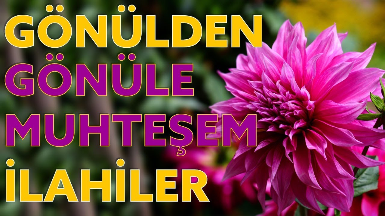 Gönülden Gönüle İlahiler / Bu İlahiler Umudumuz