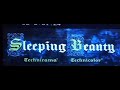Walt Disney S Sleeping Beauty 1959 Film 1997 AC 3 Laserdisc Print Opening Sleepingbeauty
