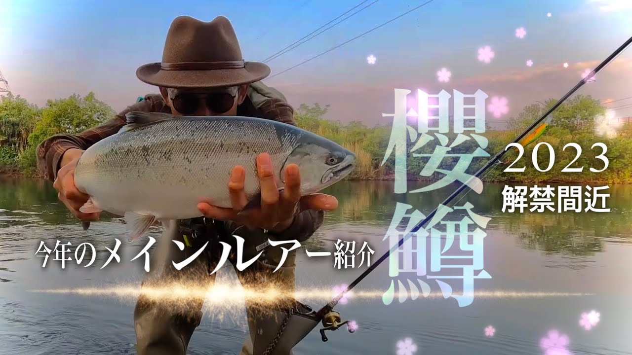 Koyoshi River Cherry Salmon 2023] Spring is finally here