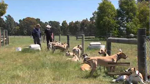 Hunting Aotearoa S7 Ep14 Teaser