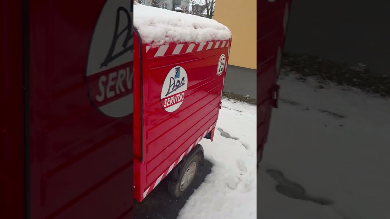 Ape vom  Schnee befreit  ￼