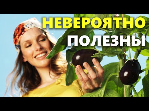 Вот почему есть баклажаны просто необходимо! 7 полезных свойств баклажана