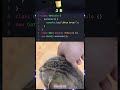 POV: tu gato es polimórfico #viral #memes #javascripttutorial #javascript #viral #foryou