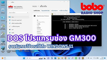 DOS โปรแกรมช่อง MOTOROLA GM300 Programming ON WIN11