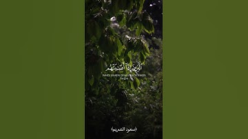 ﴿ولنلونكم بشيء﴾ سعود الشريم حالات واتس تلاوة قرآن