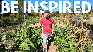 New Zealand AUTUMN FOOD GARDEN TOUR ( self-sufficient garden )