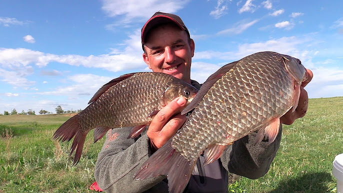 Рыбалка на озерах: видео, советы, трюки