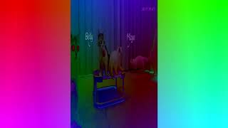 Preview 2 Belly And Mayo With 27 Effects