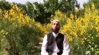 اجر بنده چی وقت داده میشود... ?...Ajri Banda Chi Vaqt Doda Meshavad