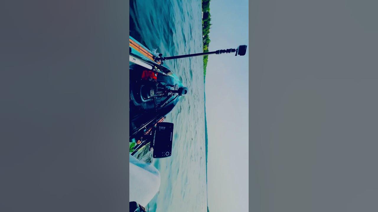 Wild Waves, Rough Ride