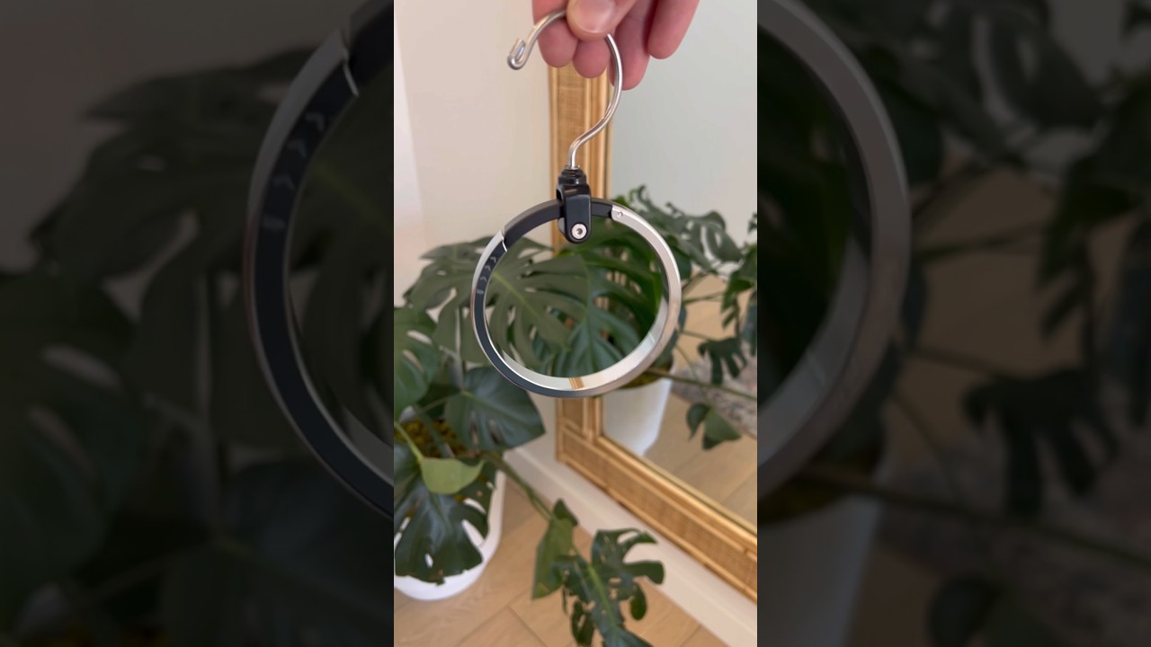 Genius Amazon Finds you actually need! 