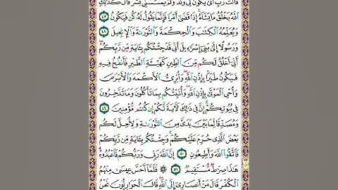 سورة آل عمران ص56 /المنشاوي