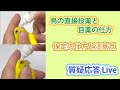 鳥の直接投薬と目薬の仕方 ～ 保定の仕方と注意点～ 【質疑応答ライブ】