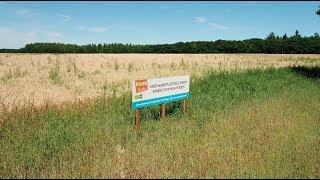 Naakte Haver Oogst 2018