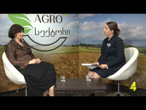 ,,AGROსექტორი\" სტუმრები: მთვარისა ქობულია, გუკა სალუქვაძე  31- 10 - 2018