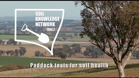 Paddock tests for soil health