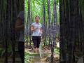 China's Secret Trick To Grow Juicy Sugarcane! 🌱😱 #shortsvideo
