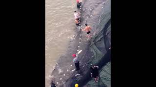 fishing, snakehead fishing, northern snakehead fishing, Northern snakehead, a lots of fishing videos
