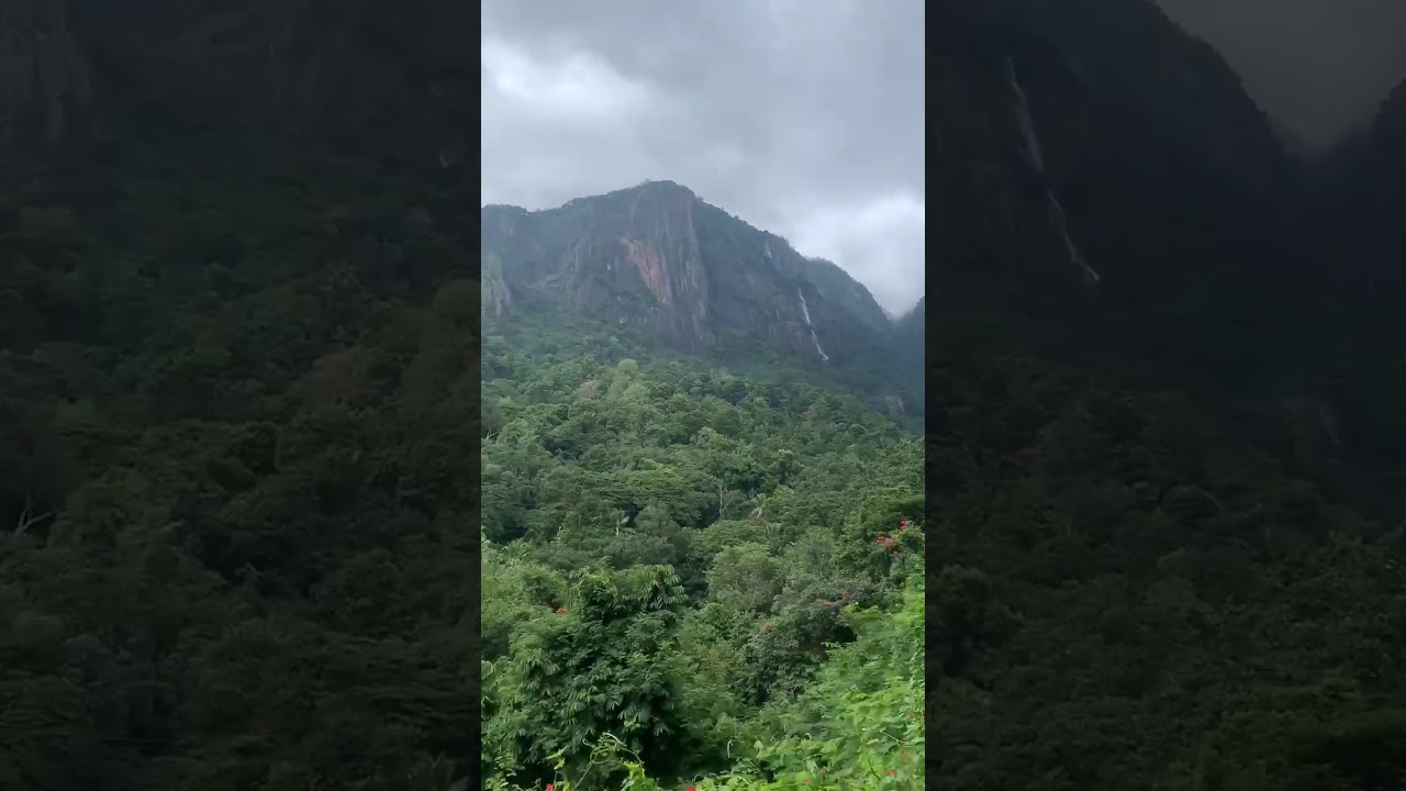 Incredibly rich Nilgiris Biosphere Reserve ...