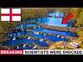 England Put 2 Beavers In a Flooded Forest — 5 Years Later, Scientists Found the Extraordinary