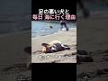 足の悪い犬と毎日 海に行く理由