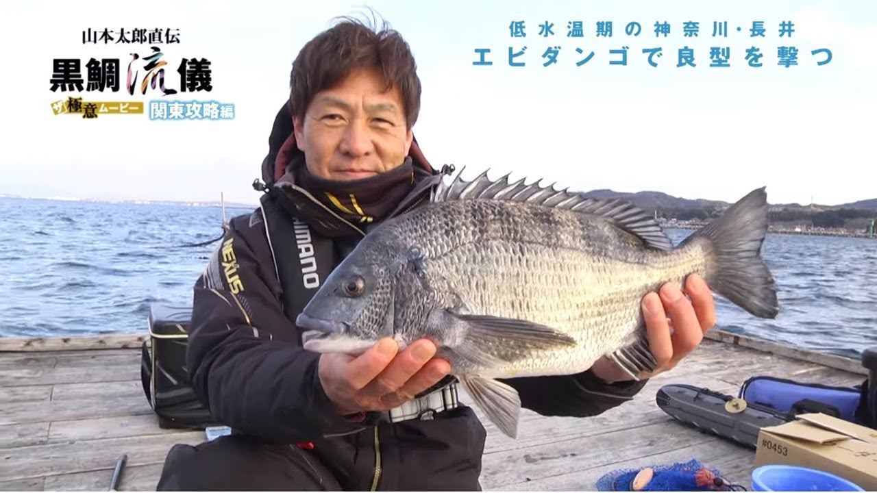 黒鯛流儀 関東攻略編 低水温期の神奈川 長井 エビダンゴで良型を撃つ Youtube 黒鯛流儀 関東攻略編 低水温期の神奈川 長井 エビダンゴで良型を撃つ Youtube