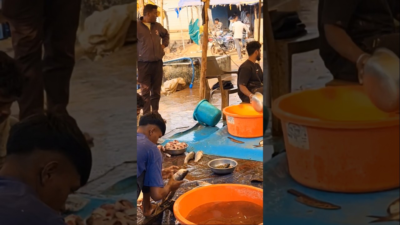 unique fish | 🐟🦈 