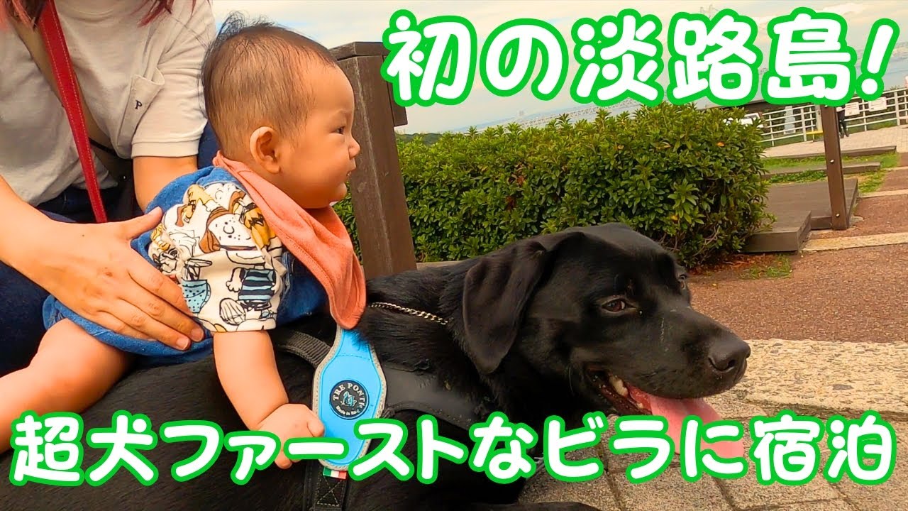 淡路島で超犬ファーストなビラに泊まったら...