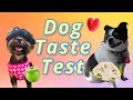 MY DOGS TASTE TEST FOODS #1