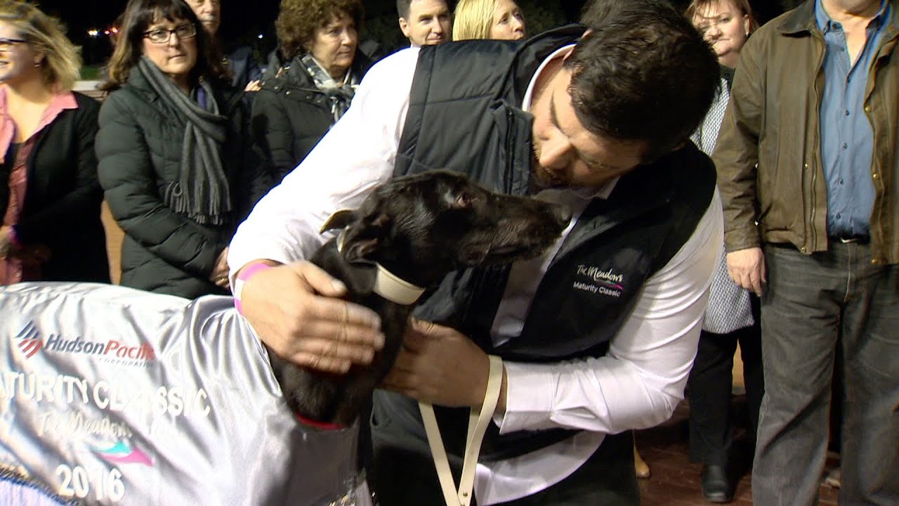 racing fever motor apk 2016 Maturity Classic