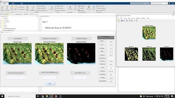 Plant Leaf Disease Detection using Computer Vision and Machine Learning Algorithms