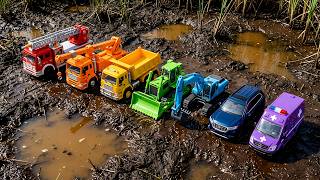🚛 Muddy Swamp Rescue! Seven Rainbow Trucks Save Yellow Dump Truck Song