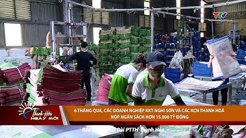 6 tháng qua, các doanh nghiệp Khu kinh tế Nghi Sơn nộp ngân sách hơn 15.000 tỷ đồng