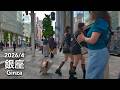 Weekend Walk in Tokyo: Ginza Yurakucho - 2026/4