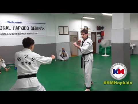 Hapkido Demonstration by