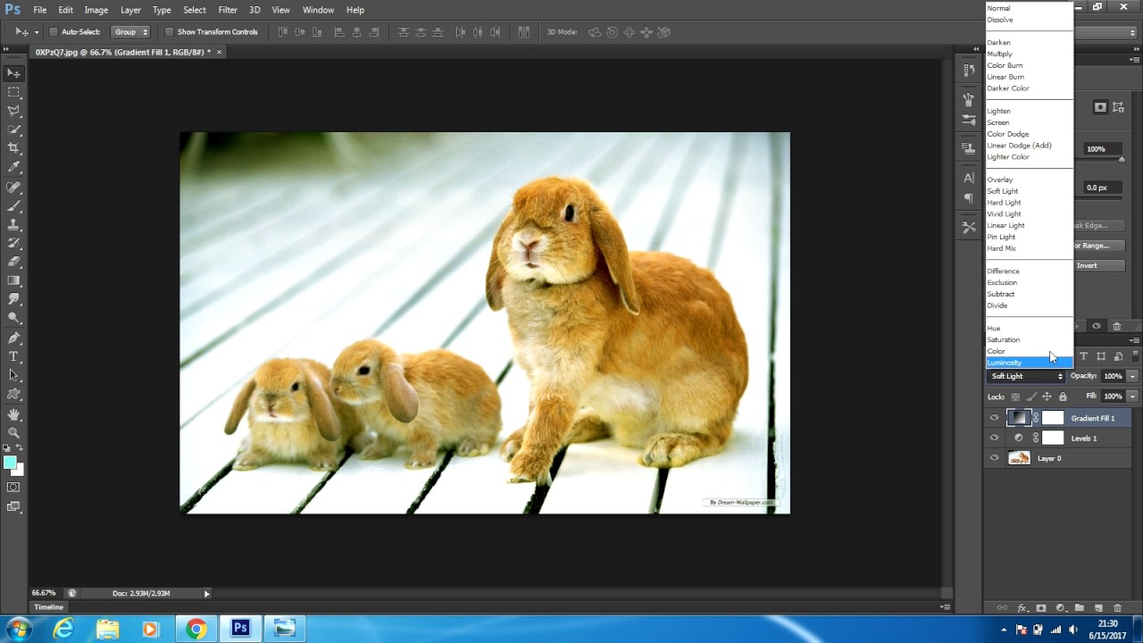 Photo Shop Rabit rabbit Photo Effect in Photoshop - YouTube