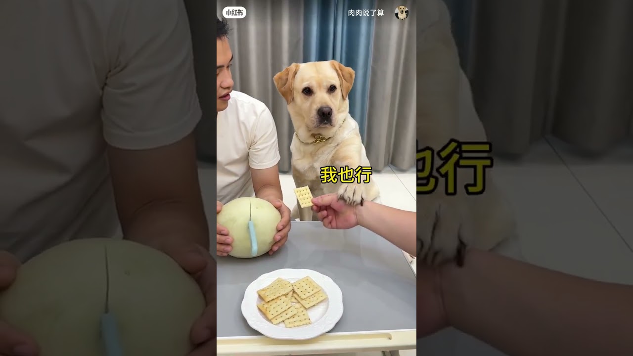 chinese funny video 😁😁