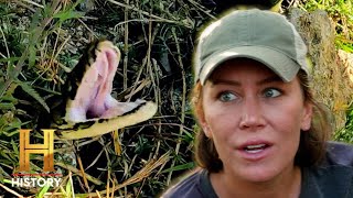 Swamp People: Serpent Invasion: HUGE Pythons Surrounding Cypress Strand (S4)