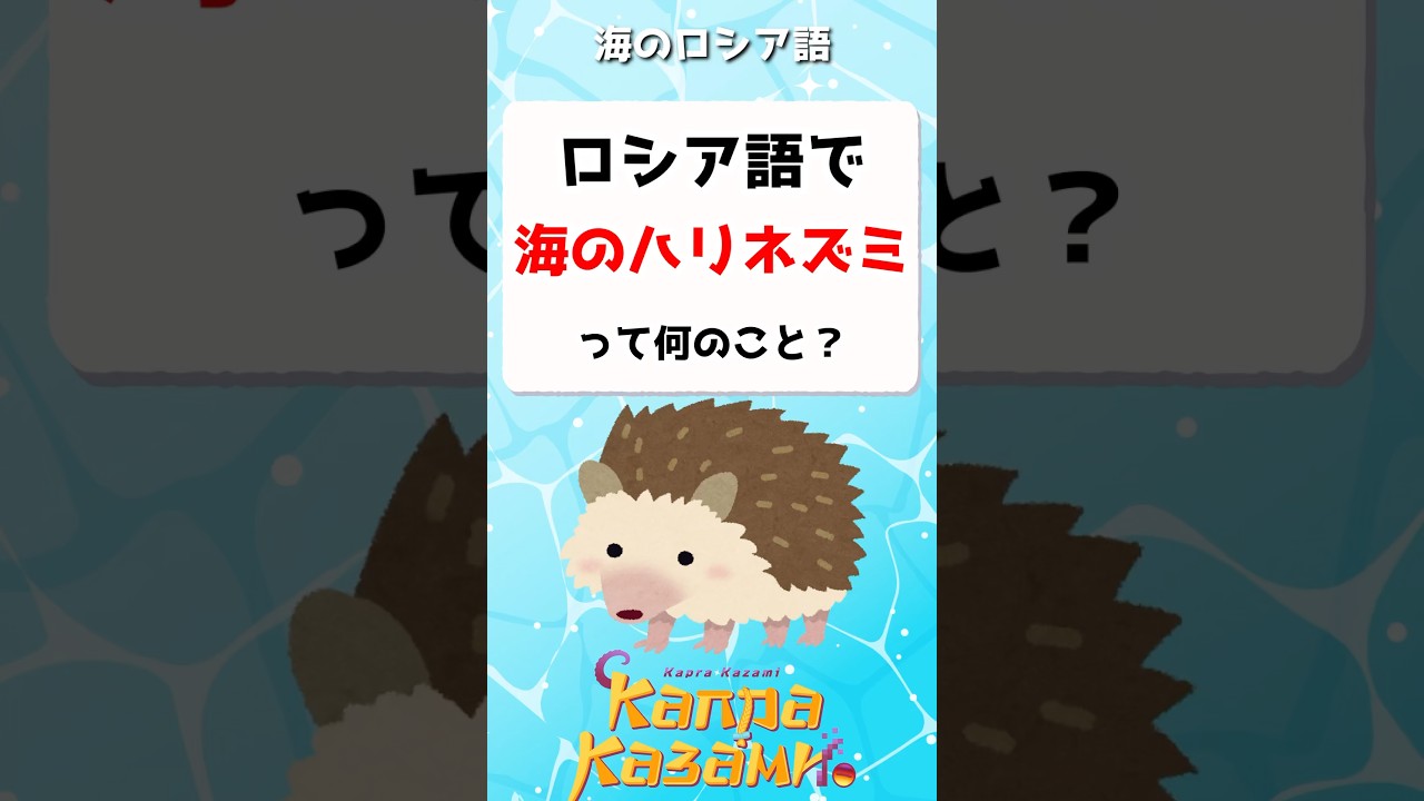 ロシア語で「海のハリネズミ」ってなんのこと?🦔 #shorts #ロシア語