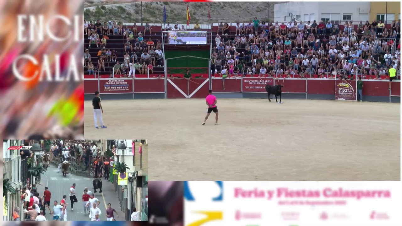 7 Septiembre 2025  -  Ganadería “Miura - Prieto de la Cal”