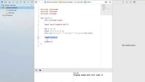 How to Output Data to a File on Xcode - C++