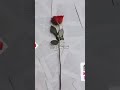 أقوى فيديو تحفيزي لن اتوقف حتى املك حلمي حلمي ملكي ويوما ما سأبلغه 