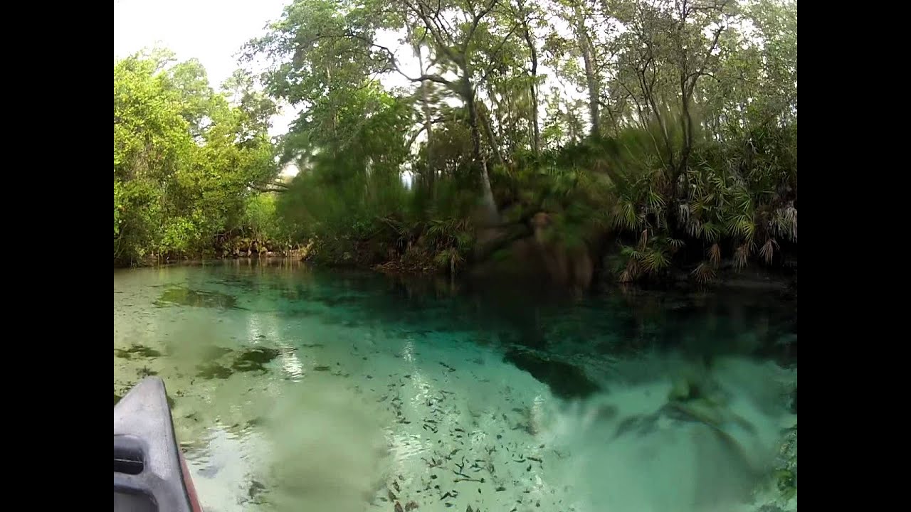 Canoeing Down Weeki Wachee River YouTube