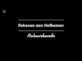 Rekenen aan hefbomen | Natuurkunde