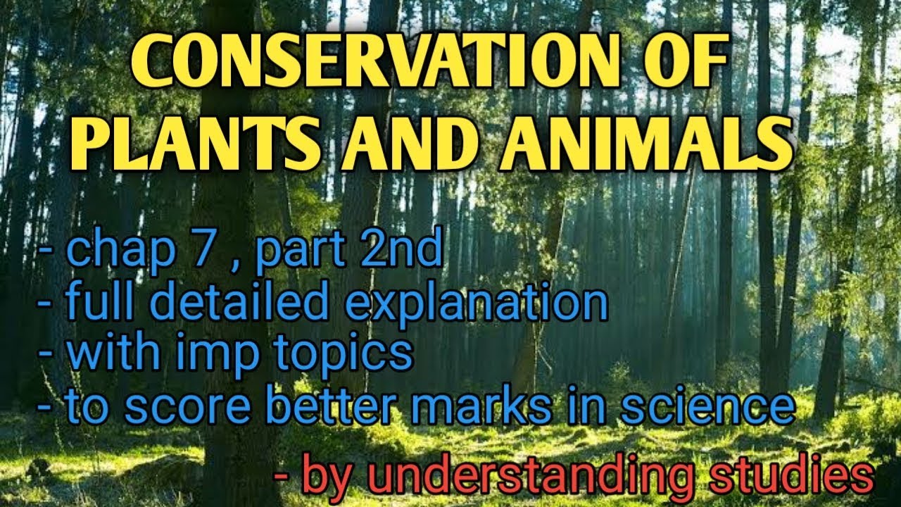 research title about plants and animals