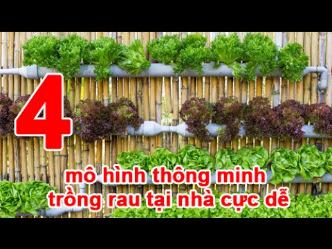 Video 4 mô hình thông minh trồng rau tại nhà cực dễ - youtube