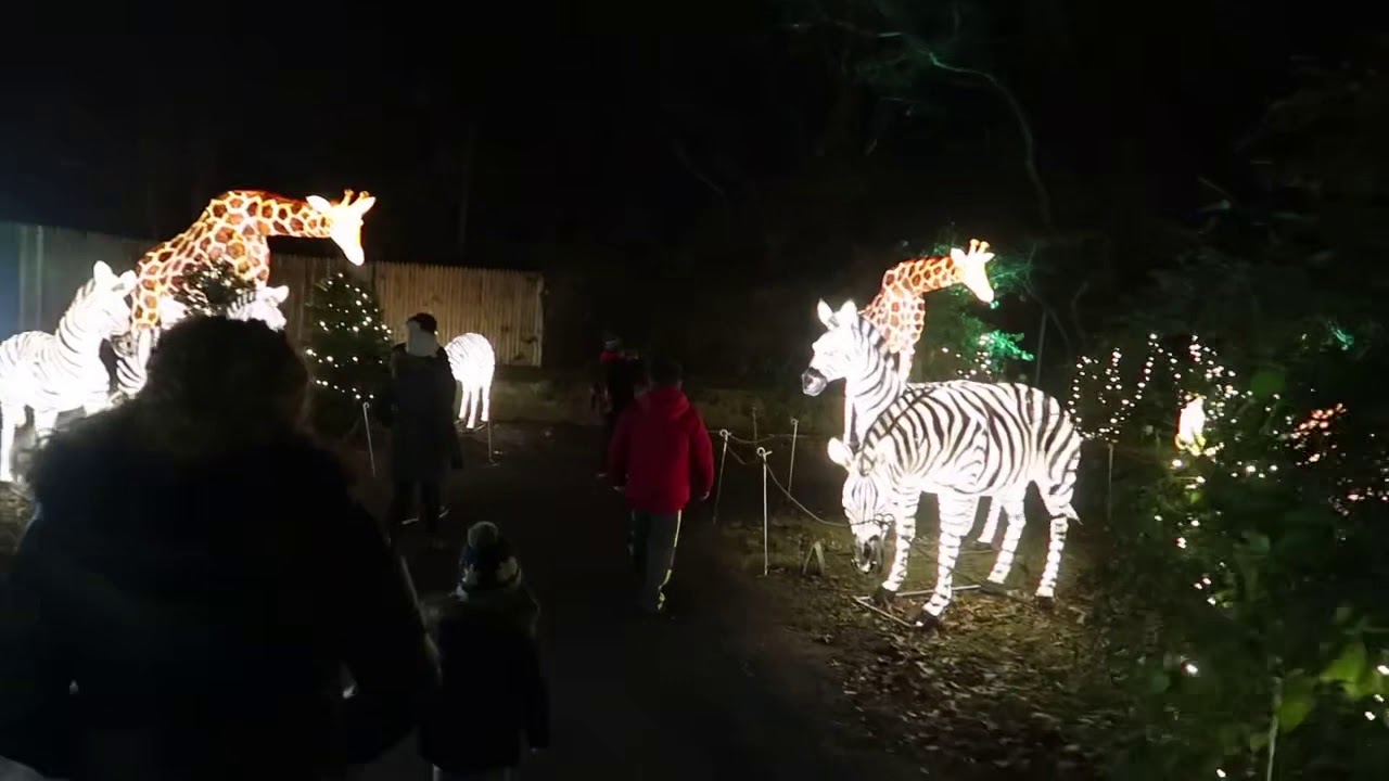 Bronx Zoo Holiday Light Show 2019 Part1