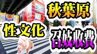 【東京攻略】staycation秋葉原行街,日本召妓收費 和酒吧種類趣談Akihabara and tell you charges for prostitution in Japan