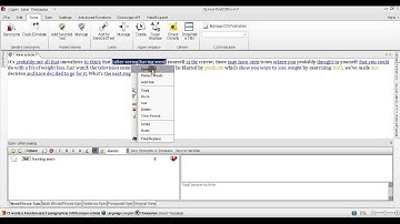SpinnerChief 2 - Passing Copyscape